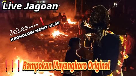 Ini Lo Yang Ditunggu Rampokan Singo Barong Jaranan Mayangkoro Original