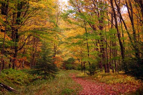 🔥 [50+] West Virginia Scenery Wallpapers | WallpaperSafari