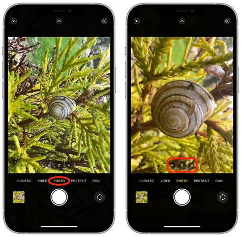 Iphone Pro How To Shoot Macro Photography Macrumors