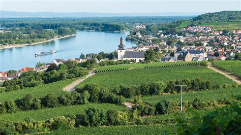 Louis Guntrum Grosses Gew Chs Nierstein Pettenthal Riesling Trocken