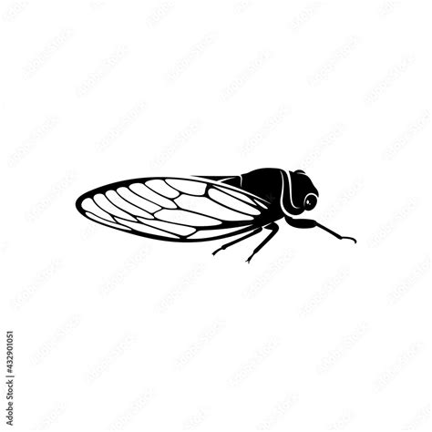 Cicada Design Vector Illustration Creative Cicada Logo Design Concept