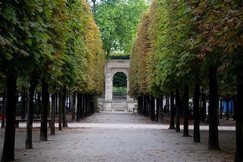 Tuileries Garden Paris: Everything You Need To Know