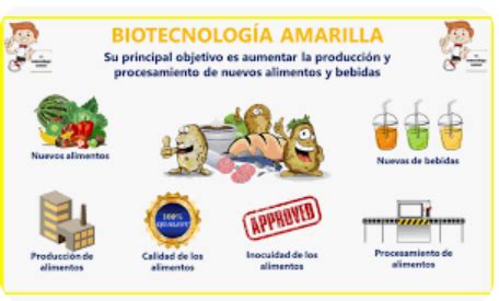 Biotecnologia Alimentaria Mind Map