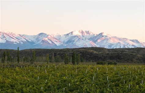 La Bodega Catena Zapata Fue Reconocida Como La Mejor Del Mundo En The