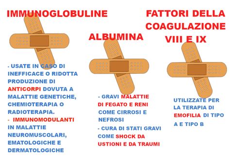 Il Plasma A Cosa Serve Avis Provinciale Modena