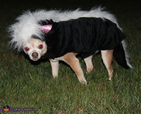 Skunk Dog Halloween Costume | Best Halloween Costumes