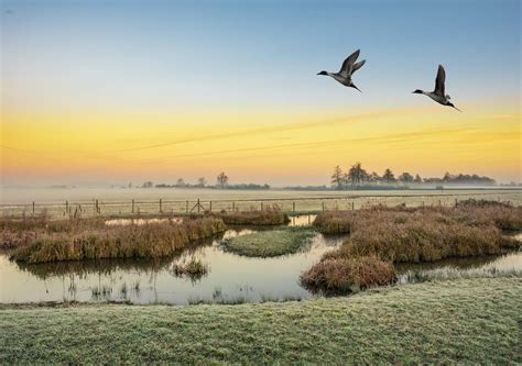 Why World Wetlands Day Matters For Our Planet