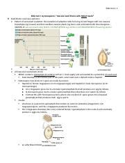 Slide Set Slide Set Slide Set Gymnosperms Vascular Land