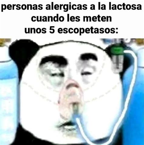 Pin en momos Imagenes para reirse Imágenes divertidas Imagenes nacas