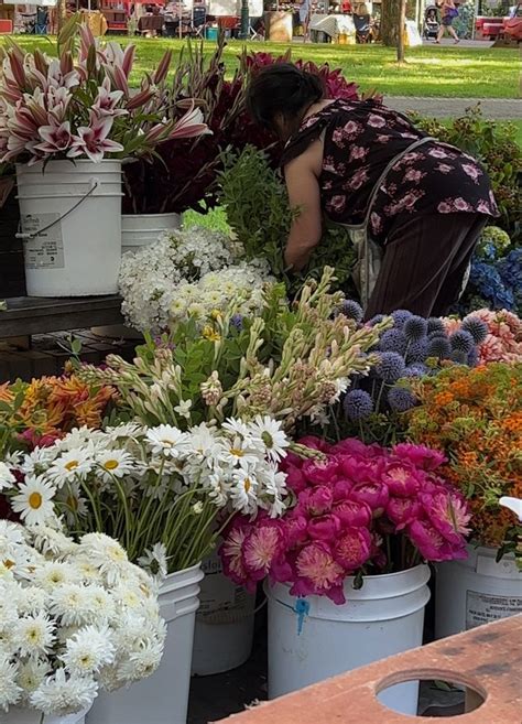 Flowers • Farmers Market | Flowers, Farmers market, Plants