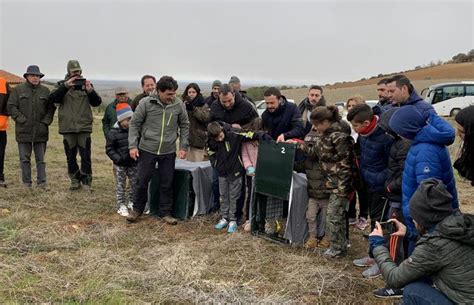 Suelta De Dos Nuevos Linces Ib Ricos Como Compromiso Con La Protecci N