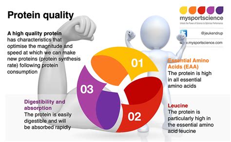 What Is Protein Quality