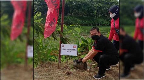 Tanam Pohon Di HUT PDI Perjuangan Sonny Ingatkan Pentingnya Lingkungan