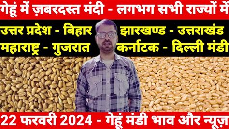 Gehu Ka Bhav Aaj Ka Wheat Price Today Youtube