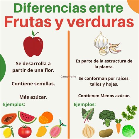 Lista Foto Cu L Es La Diferencia Entre Frutas Y Verduras Cena Hermosa