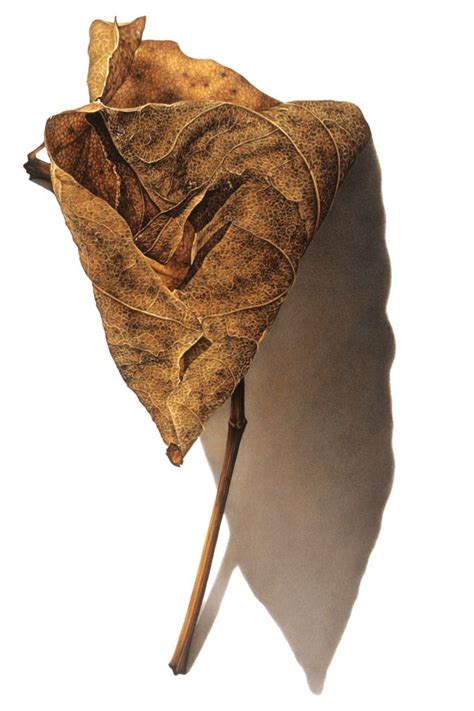 Captivating Rusted Leaf Artwork By David Morrison