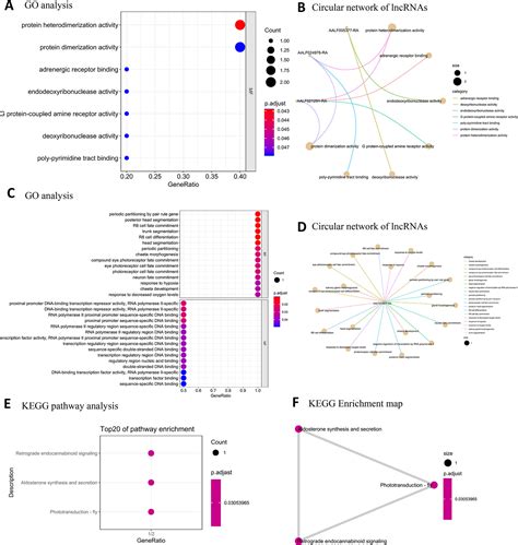 Frontiers Differentiation Of Long Non Coding Rna And Mrna Expression