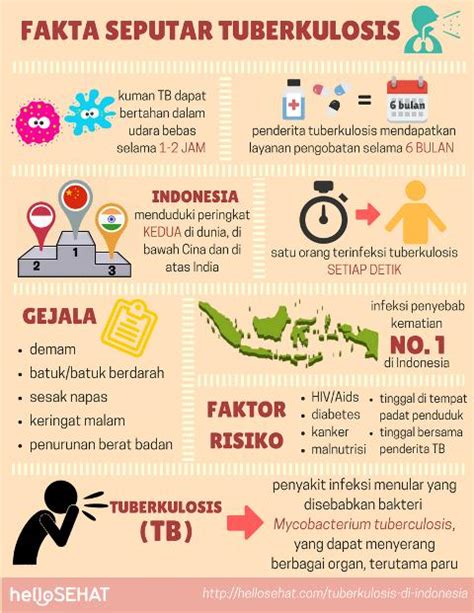 Ini Dia Fakta Seputar Tuberkulosis Di Indonesia