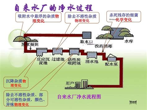 自来水厂的净水过程word文档在线阅读与下载免费文档