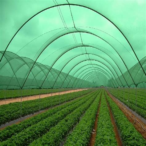 Hdpe Plastic Green Agro Shade Net For Agriculture Length M At Rs