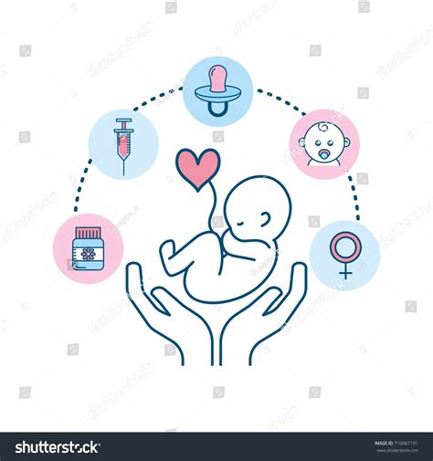 Set Pregnancy Fertilization Process Biology Reproduction Stock Vector