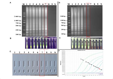 Sensitivity Of The Psr Lfb Assay For Hbv Detection A C Analysis