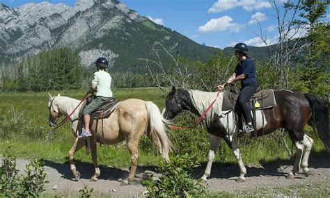 Banff Trail Riders - Banff Trail Riders | Groupon