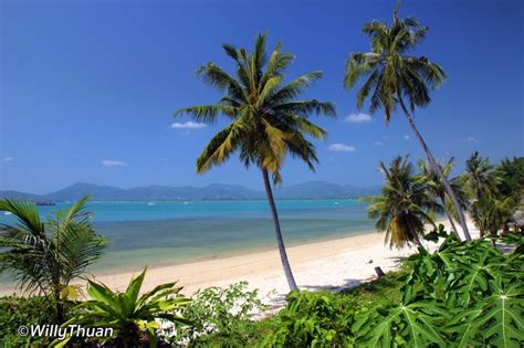 Panwa Beach - Phuket 101