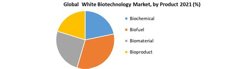 White Biotechnology Market Global Industry Analysis And Forecast 2029