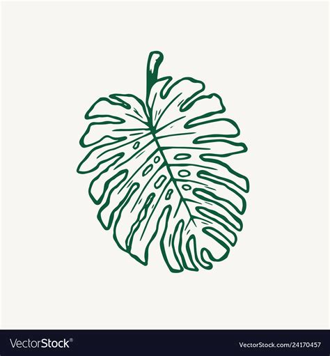 Printable Monstera Leaf Outline Printable Word Searches