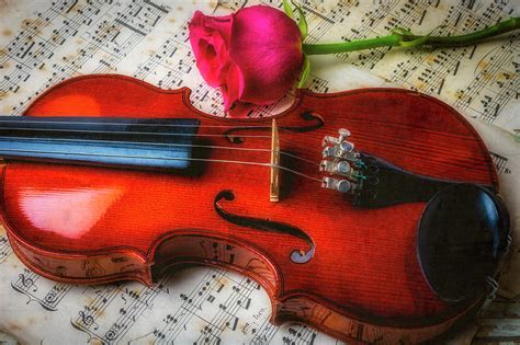 Romantic Violin And Rose Photograph By Garry Gay Fine Art America