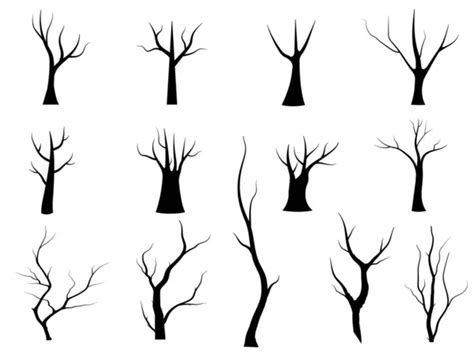 Black Branch Tree Naked Trees Silhouettes Set Hand Drawn Isolated Stock Vector By Mineemail