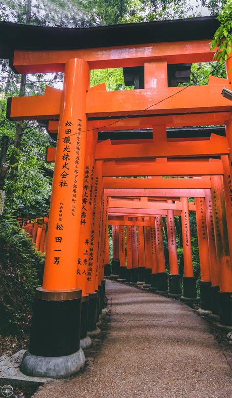 Fushimi inari taisha shrine travel guide – Artofit