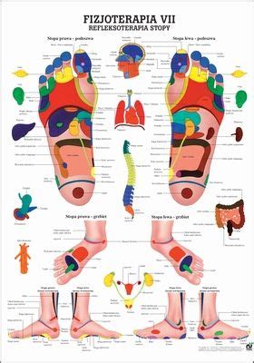 Refleksoterapia Stopy M PL PHYS7