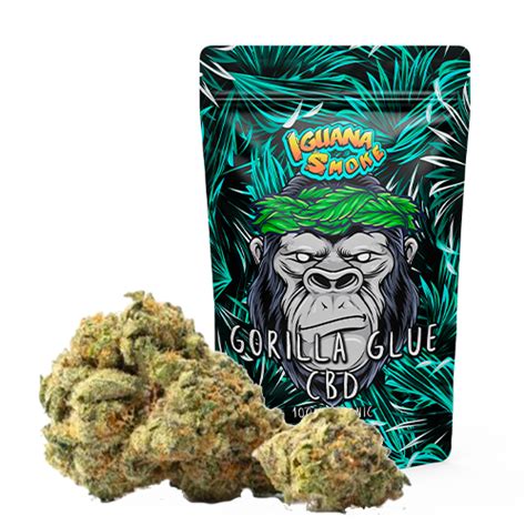 Flor Gorilla Glue CBD Desde 2 2 Gr Iguana Smoke Comprar Flor CBD