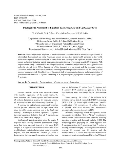 Phylogenetic Placement Of Egyptian Taenia Saginata And Cysticercus