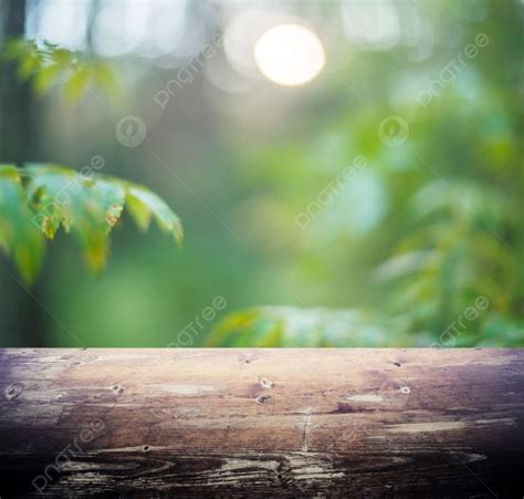 Blur Summer Forest Bokeh Wood Plate Background Blur Summer Forest Bokeh ...