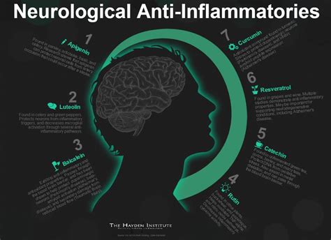 Brain Health and Natural Neurological Anti-Inflammatories