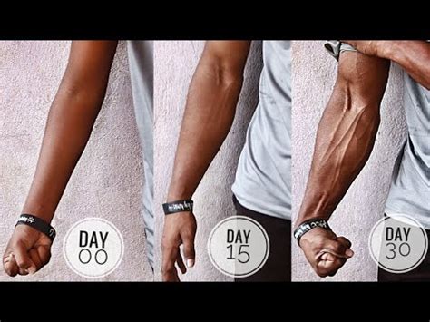 HOME FOREARMS EXERCISES NO EQUIPMENT YouTube