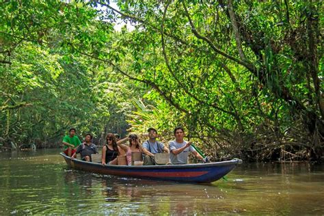 Amazon Tours - Ecuador Amazon Rainforest Adventure Tours