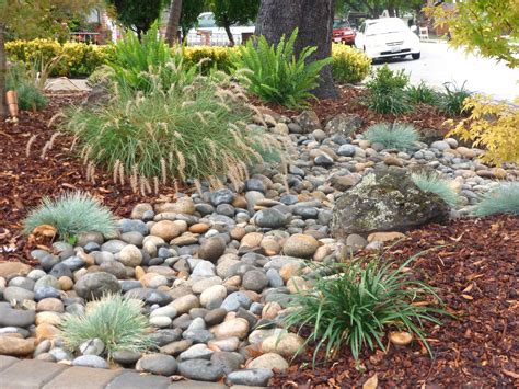 Low Water Landscape Design