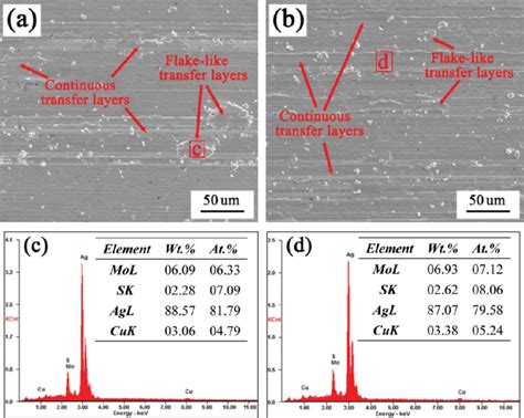 SEM Micrographs Of The Transfer Layer On The Counterfaces A