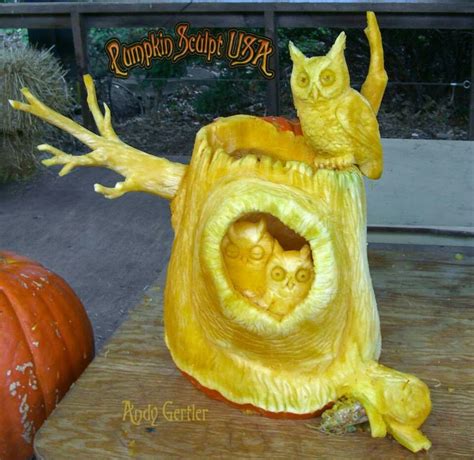 Awesome owl pumpkin! | Pumpkin art, Pumpkin carving, Halloween pumpkins ...