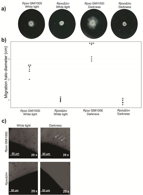 Effect Of The Rpsolov Gene Mutation In Swimming And Twitching Motility