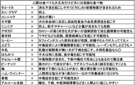 犬 食べ て は いけない もの