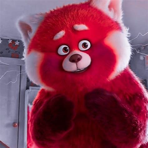 ᩠͡♡ ↬ 𝖬𝖾𝗂𝗅𝗂𝗇 𝖫𝖾𝖾 𝗂𝖼𝗈𝗇 𓂅᜔࣪ Panda Vermelho Filmes