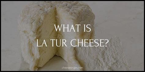 What is Cabrales? Spain’s Artisan Blue Cheese Delight - Cheese Origin