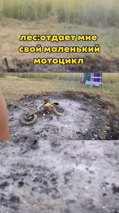 лес:отдает мне свой питбайк который горит #motorcycle #restoration # ...