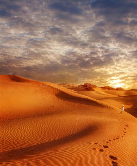 24 452 Puesta Del Sol De Las Dunas De Arena Del Desierto Fotos De Stock