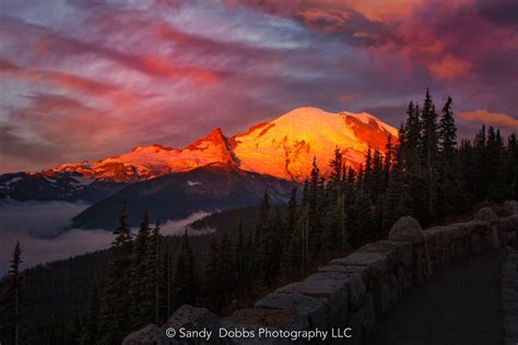 Mt Rainier Sunrise Photo Print, Mt Rainier National Park, Photography ...